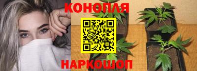 каннабис Жуковский