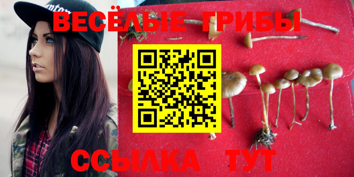 Галлюциногенные грибы ЛСД  Вход с VPN  что такое наркотик  Иркутск 